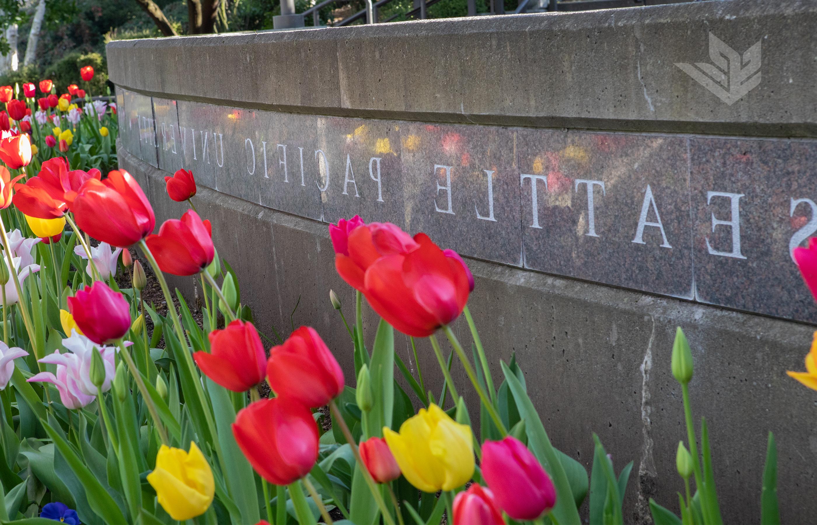好的赌博软件推荐校园里马丁广场的大理石标志，前面是五颜六色的春天郁金香